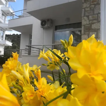 The Sunny Side Apartment