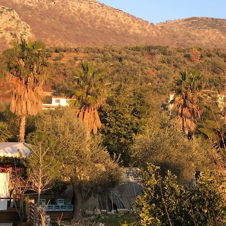 The Sunny Side Himare